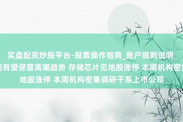 实盘配资炒股平台-股票操作指南_账户规则说明 瞻望四季度存储价钱有望保管高潮趋势 存储芯片见地股涨停 本周机构密集调研干系上市公司